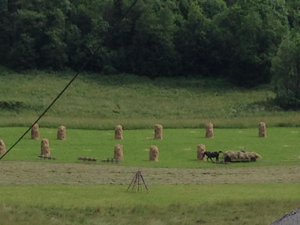 Pokoje Goscinne Madzia Poronin Esterno foto